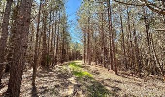 3 County Road 5112, Ethel, MS 38829