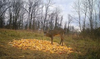 Setty Rd, Albany, OH 45710