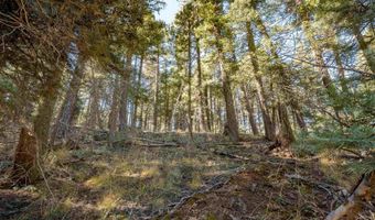 Back Basin Rd lot 145, Angel Fire, NM 87710
