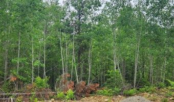 Map2lot10 Pinkham Road, Acton, ME 04468