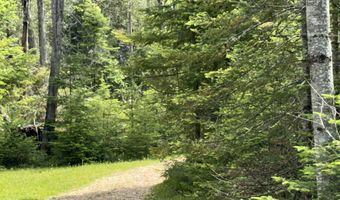 Parcel 4 Wreck Road, Alpena, MI 49707
