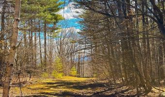 TM 407 L 35 Shem Valley Road, Alexandria, NH 03222