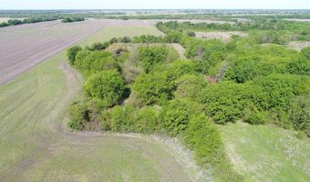 440 Farm To Market 44, Annona, TX 75550