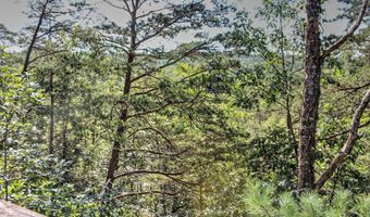 198 HOODS POINT Rd, Basye, VA 22810