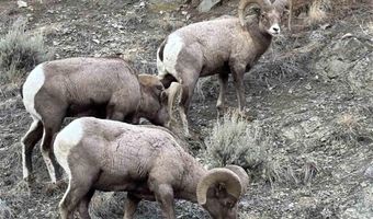 2433 Southfork Rd, Cody, WY 82414