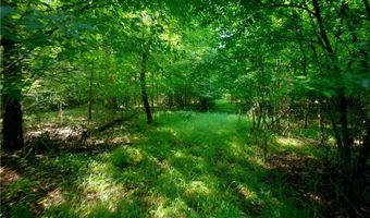 Todd Road, Advance, NC 27006