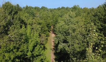2181 M-33, Alger, MI 48610
