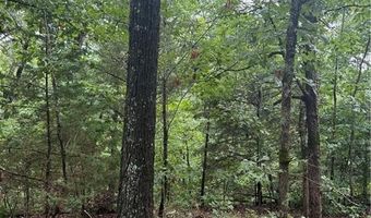 Lot 7 Block 5 Banff DR, Bella Vista, AR 72715