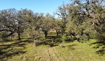 FM 521 TX, Angleton, TX 77515