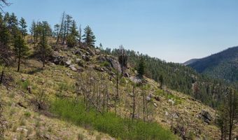 693 Cougar Dr, Bellvue, CO 80512