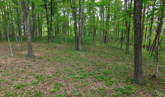1271 A Tunnel Ridge Rd, Argillite, KY 41121