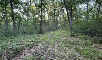 000 Jasmine Ave, Atlanta, MO 63530