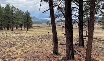 10 County Road N2157, Alpine, AZ 85920