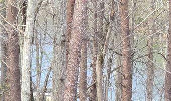 Whisper Lake Drive 121, Badin Lake, NC 28127