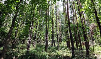 25270 B Dr S, Albion, MI 49224