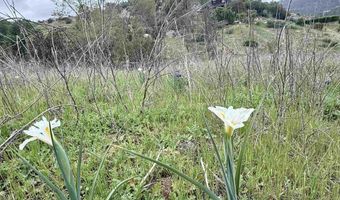 0 Alex Rd, Fallbrook, CA 92028