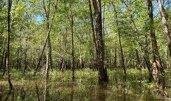 0 Lloyd Mill Rd, Andalusia, AL 36421