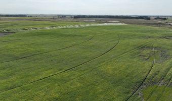 153 Acres Rock County, Bassett, NE 68714