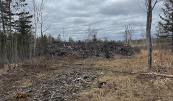 TBD40 Township Road 5743, Alborn, MN 55702