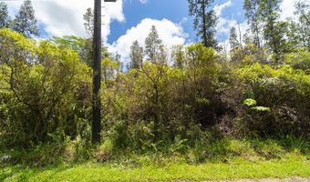 AULII ST Lot #: 28, Keaau, HI 96749