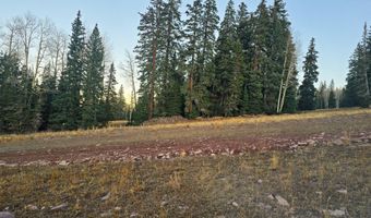 289 N Summit Dr, Beaver, UT 84713