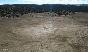 7 N CR 8171, Concho, AZ 85924