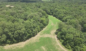 Hwy 1591, Bardwell, KY 42023