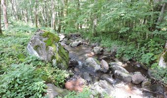 103 Chucks Ln, Bakersville, NC 28705