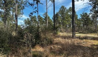 5-6 Laird Lane FM 357, Apple Springs, TX 75926
