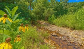 24760 Highway 21, Annapolis, MO 63620