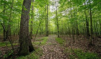 County Road 2, Addison, NY 14801