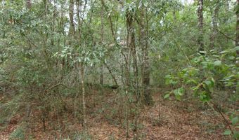 5001 Al Gillman Rd, Baker, FL 32531