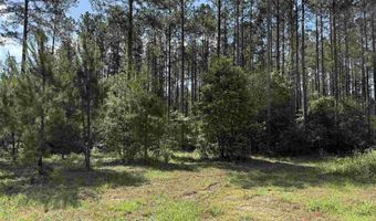 8450 Robinsonville Rd, Atmore, AL 36502
