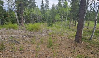 23 Sawtooth Loop, Cascade, ID 83611