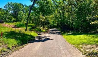 868 County Road 2920, Alba, TX 75410