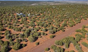 233 Co, Concho, AZ 85924
