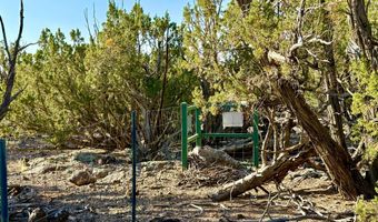 37 Co Rd N8174 10.1 Acres, Concho, AZ 85924
