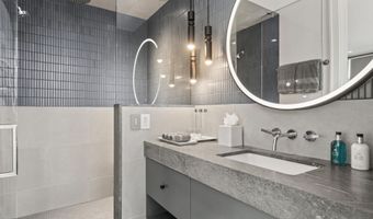 627 E Hopkins Ave 201, Aspen, CO 81611