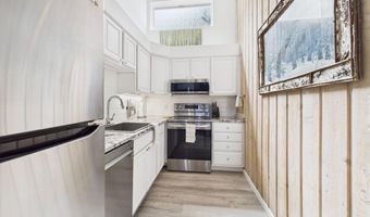 311 S Aspen St 3, Aspen, CO 81611