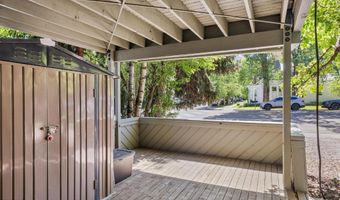 125 E Hyman Ave 1A, Aspen, CO 81611