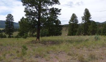 Lot 21a The Ranch At Alpine, Alpine, AZ 85920