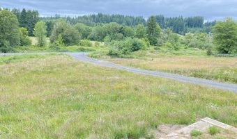 67640 NEVERSTILL Rd, Birkenfeld, OR 97016