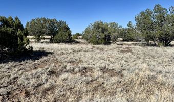 Lot 46 W Rawhide Ranch Road, Ash Fork, AZ 86320