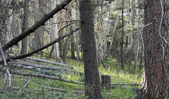 2 Back Basin Rd, Angel Fire, NM 87710