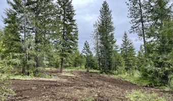 12 Acres Elizabeth Ln, Athol, ID 83801
