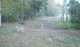 561 Church Rd, Batesburg, SC 29006