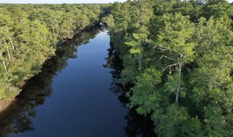 0 80 Acres-TBD Cantley Landing Rd, Andrews, SC 29510