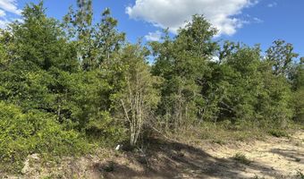 NW Lakeside Avenue lot 16 & 17, Altha, FL 32421