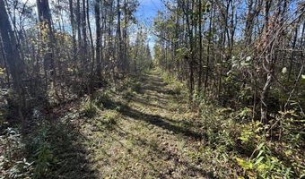 5280 Cathro Rd, Alpena, MI 49707