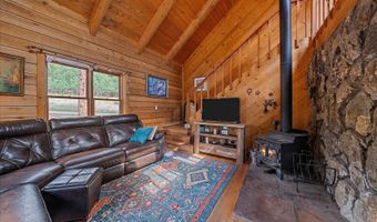 104 Six Bits St, Bailey, CO 80421